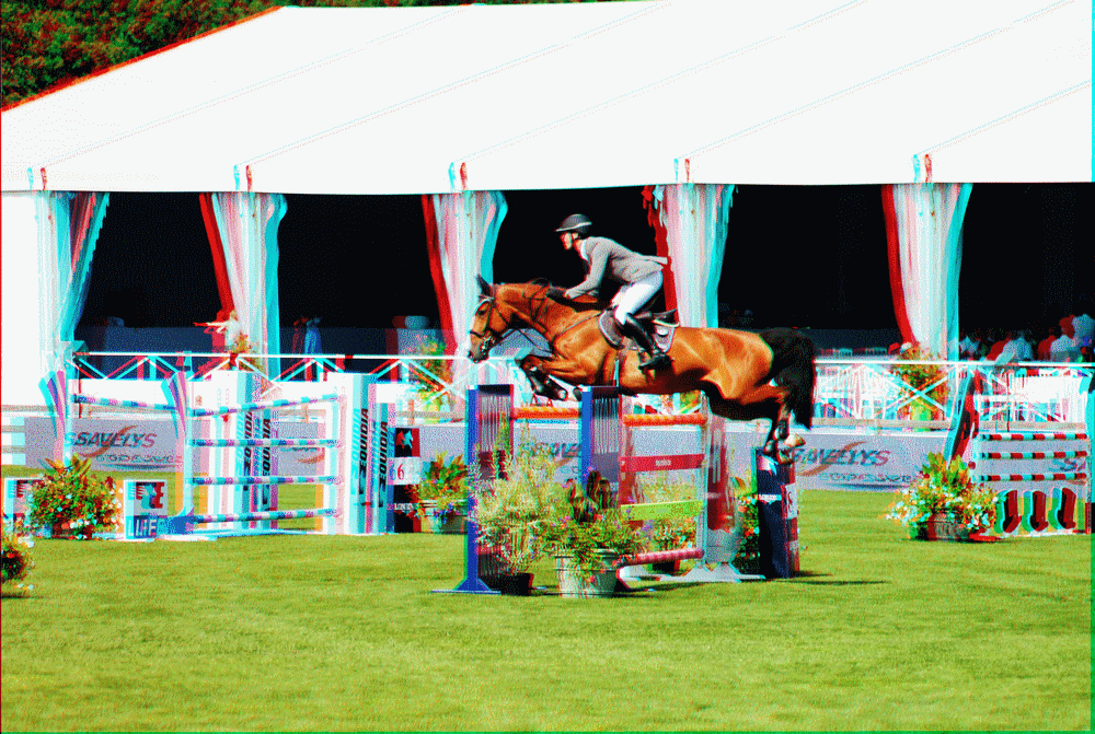 chantilly_jumping_edwina_tops_alexander_leprvost_whitaker_athina_onassis__miranda_bengtsson_pnlope_beerbaum_ludger_schwitzer_kraut_doda